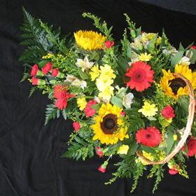fwthumbnew flower pictures 100.jpg